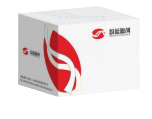 病理诊断试剂系列